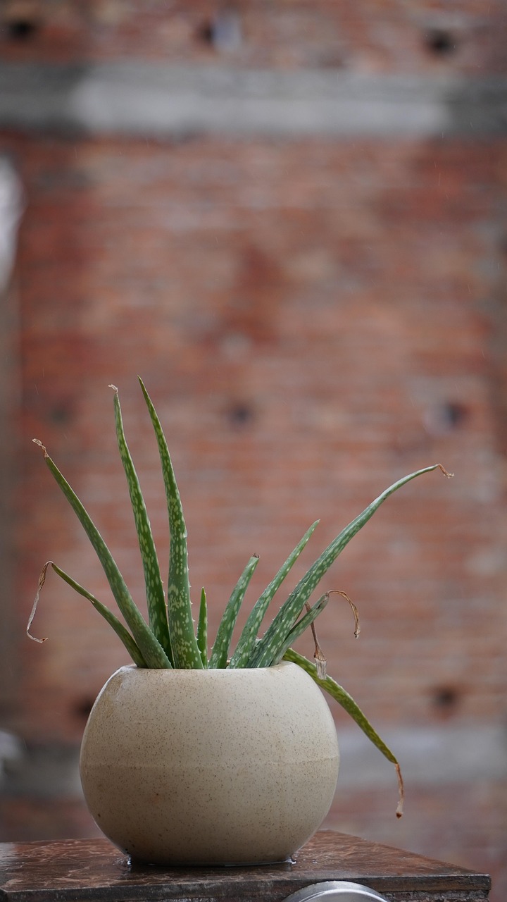 ductless mini split indoor unit